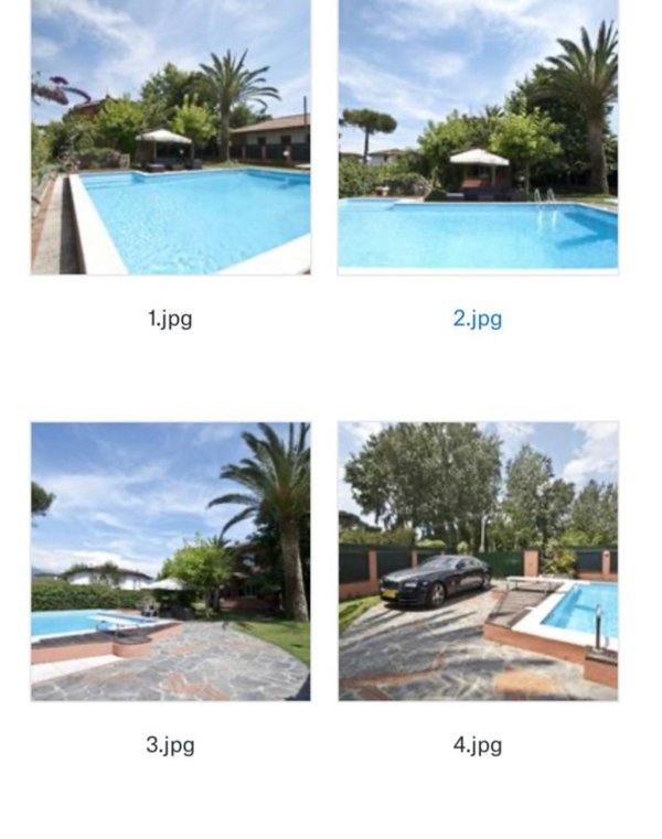 casa indipendente in affitto a Forte dei Marmi