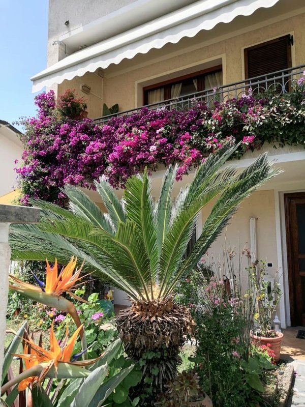 casa indipendente in affitto a Forte dei Marmi