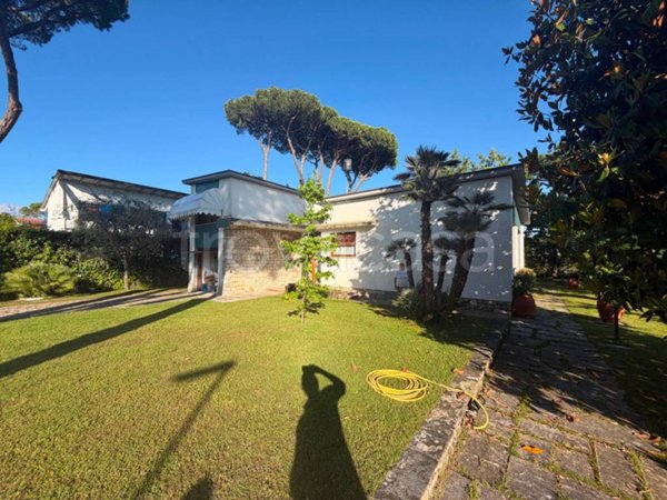 casa indipendente in affitto a Forte dei Marmi