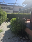 casa indipendente in affitto a Forte dei Marmi in zona Vittoria Apuana