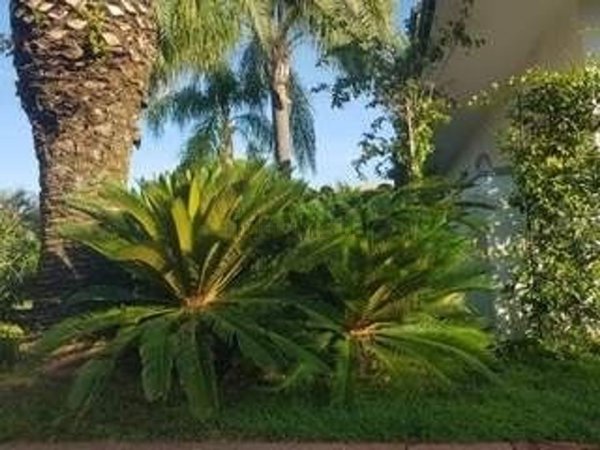 casa indipendente in affitto a Forte dei Marmi in zona Vaiana