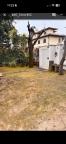 casa indipendente in affitto a Forte dei Marmi