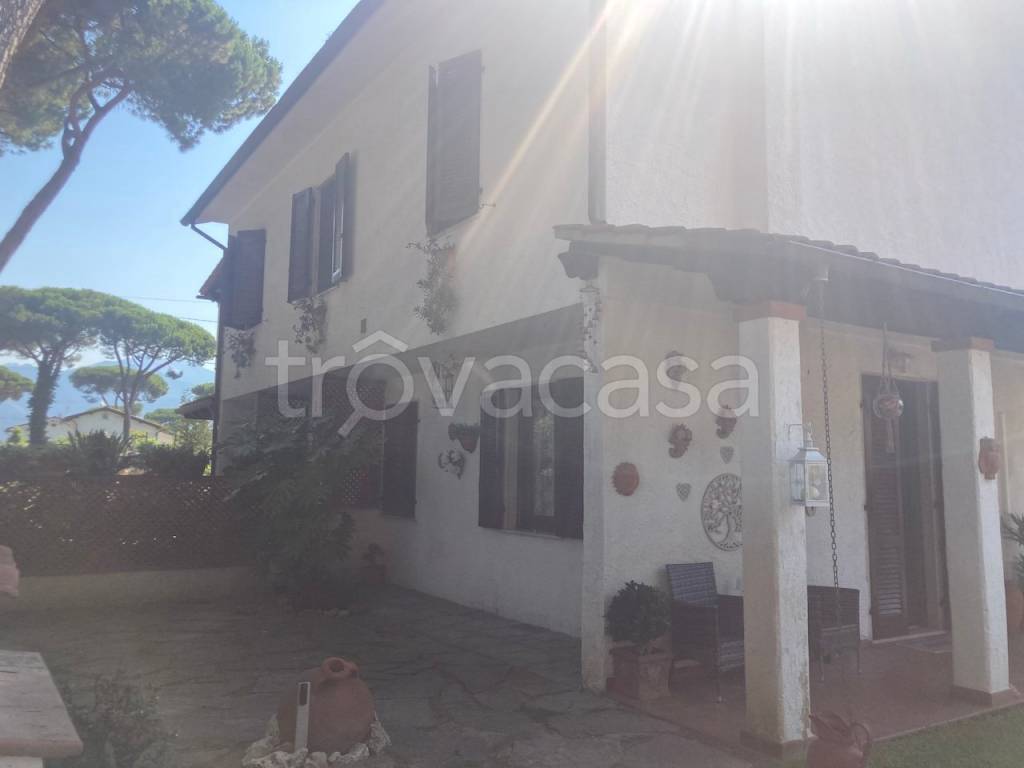 casa indipendente in affitto a Forte dei Marmi
