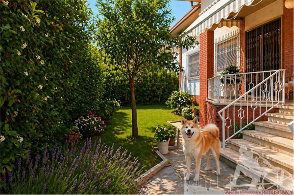 casa indipendente in affitto a Forte dei Marmi in zona Vittoria Apuana