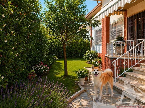 casa indipendente in affitto a Forte dei Marmi in zona Vittoria Apuana