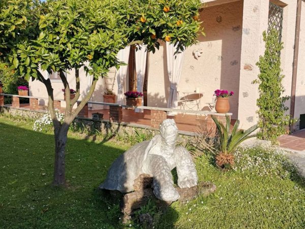 casa indipendente in affitto a Forte dei Marmi in zona Vittoria Apuana