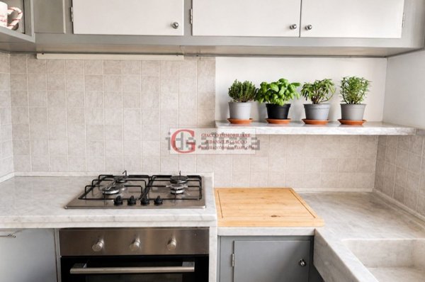 appartamento in affitto a Forte dei Marmi in zona Vittoria Apuana