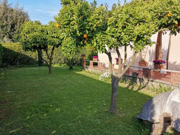 casa indipendente in affitto a Forte dei Marmi in zona Vittoria Apuana