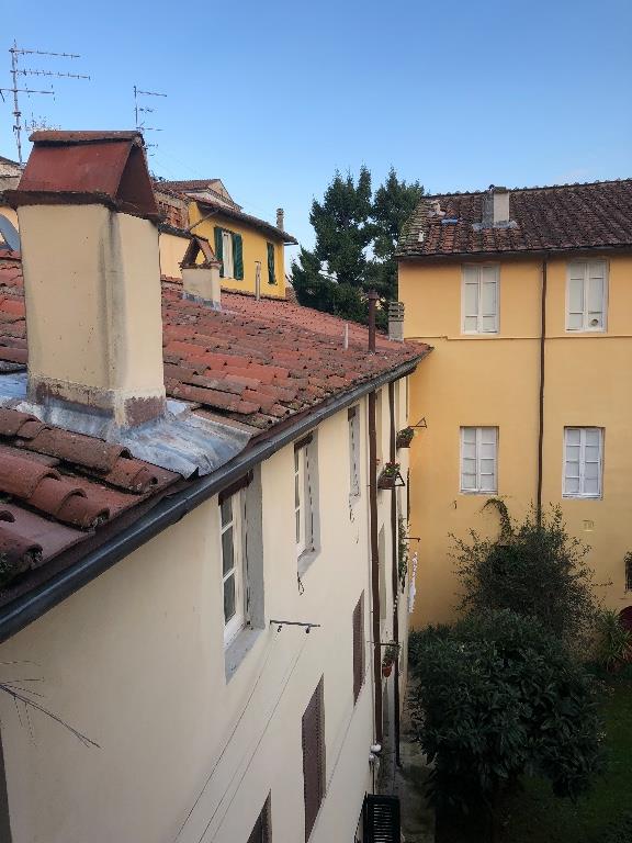 appartamento in affitto a Lucca in zona Centro Città