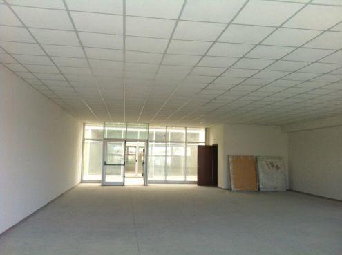 appartamento in affitto a Lucca