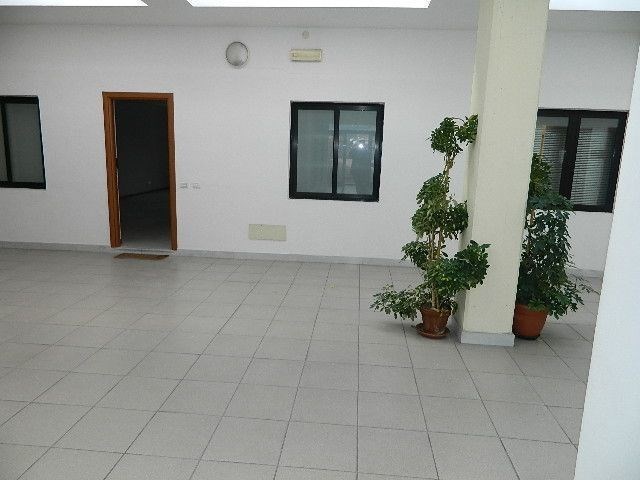 locale commerciale in affitto a Lucca in zona Sant'Anna