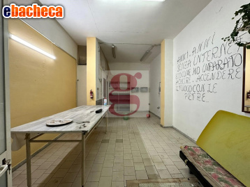 appartamento in affitto a Lucca