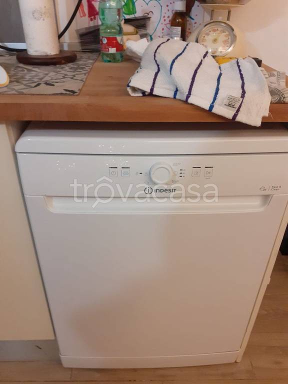 appartamento in affitto a Lucca in zona zona SS. Annunziata