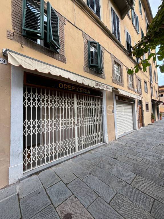 trivano in affitto a Lucca in zona Centro Città