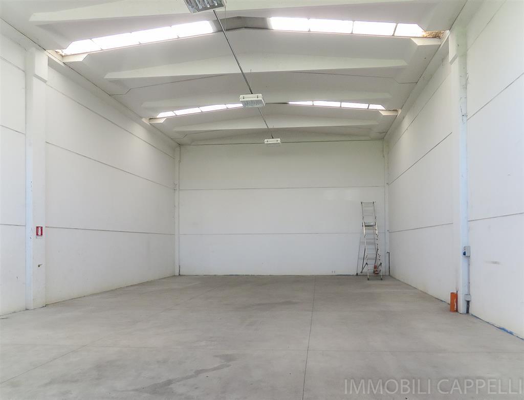 appartamento in affitto a Lucca in zona Picciorana