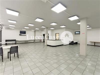 locale commerciale in affitto a Lucca in zona Sant'Anna