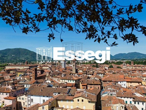 negozio in affitto a Lucca in zona Centro Città
