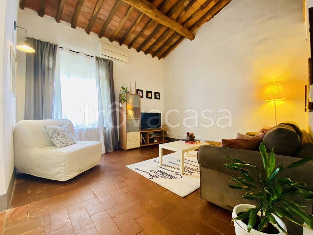 appartamento in affitto a Lucca in zona Sant'Anna