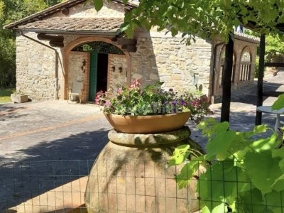 casa indipendente in affitto a Lucca