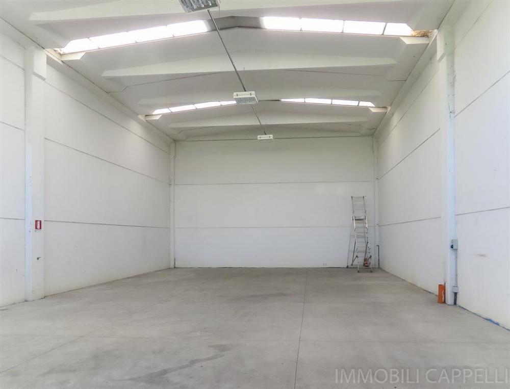 capannone in affitto a Lucca in zona Picciorana