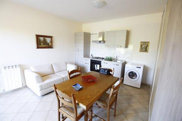 appartamento in affitto a Lucca in zona zona San Marco