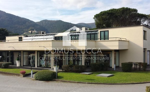 appartamento in affitto a Lucca in zona San Michele in Escheto