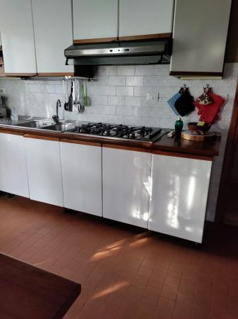 casa indipendente in affitto a Lucca in zona Pontetetto