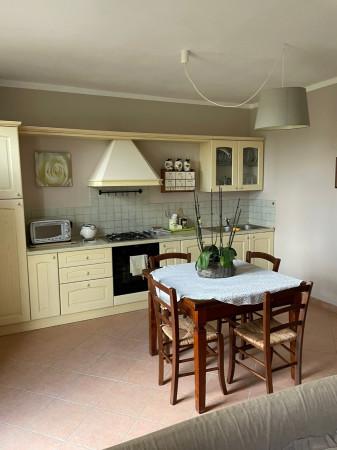 casa indipendente in affitto a Lucca in zona San Pietro a Vico