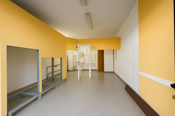 capannone in affitto a Lucca