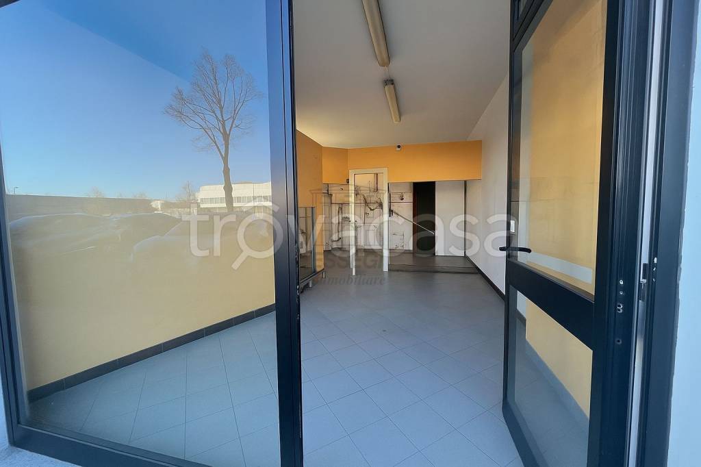 appartamento in affitto a Lucca in zona Sant'Angelo in Campo