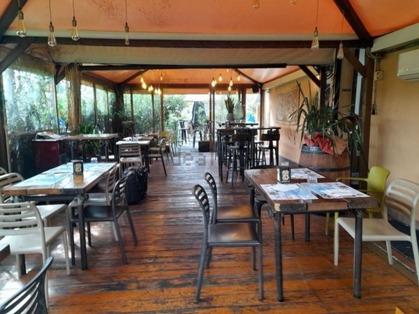 negozio in affitto a Lucca in zona Picciorana