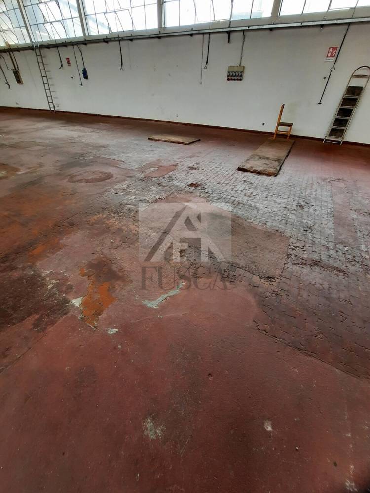 capannone in affitto a Lucca in zona Sant'Alessio