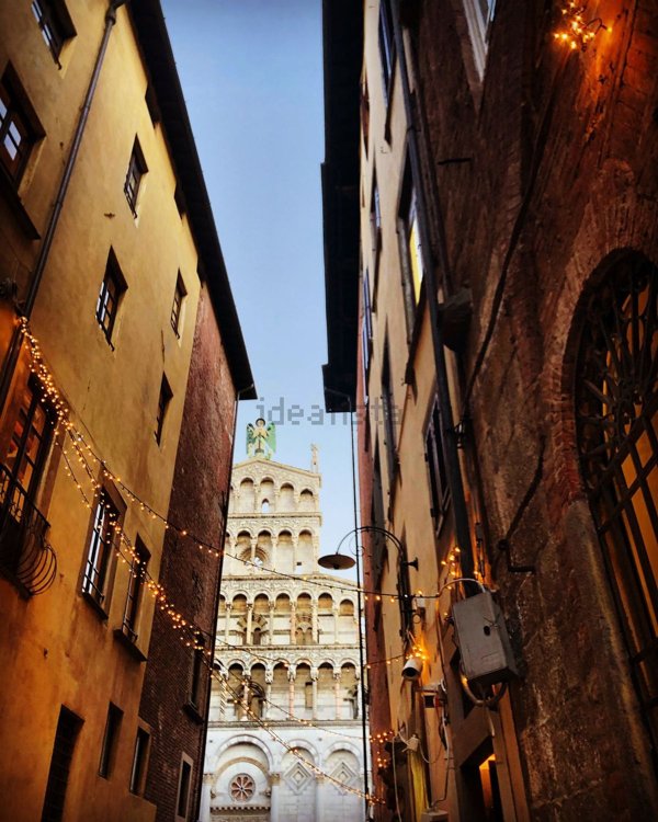 negozio in affitto a Lucca in zona Centro Città