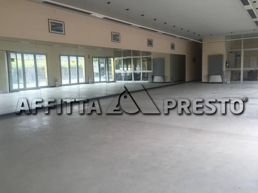 appartamento in affitto a Lucca in zona Zona San Concordio