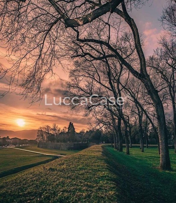 ufficio in affitto a Lucca in zona Zona San Concordio