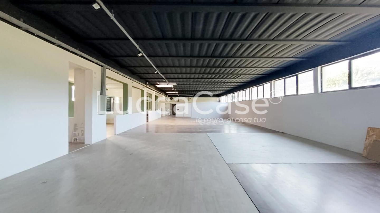 ufficio in affitto a Lucca