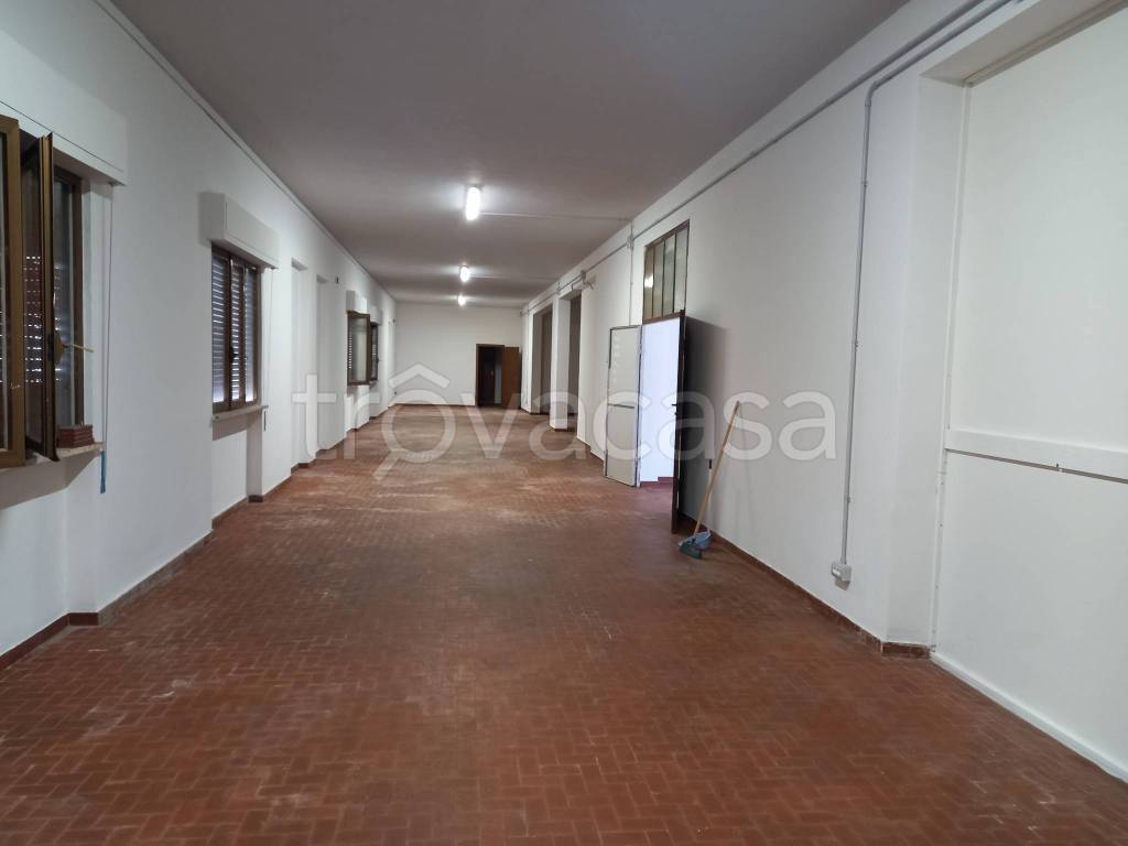 locale commerciale in affitto a Lucca in zona Zona San Concordio