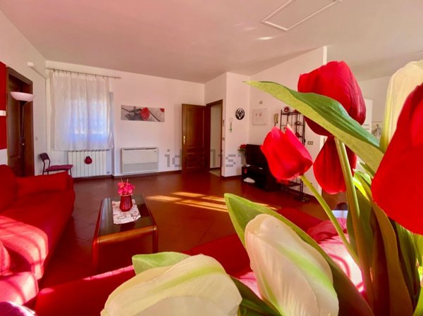 appartamento in affitto a Lucca in zona zona San Marco