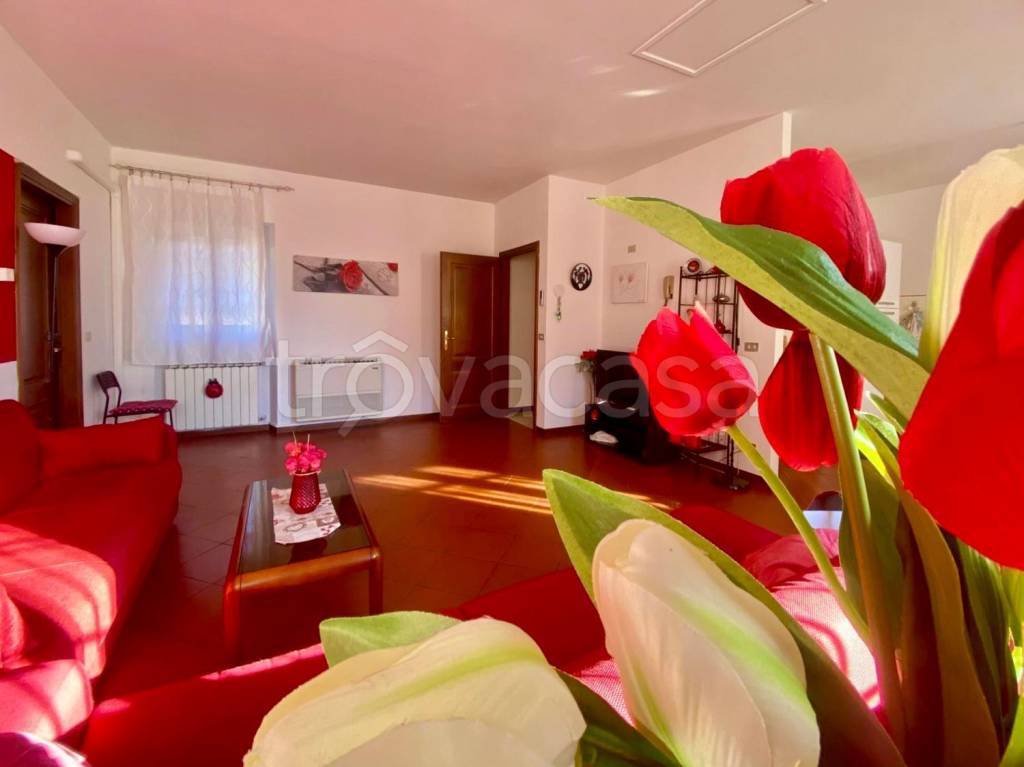 appartamento in affitto a Lucca in zona zona San Marco