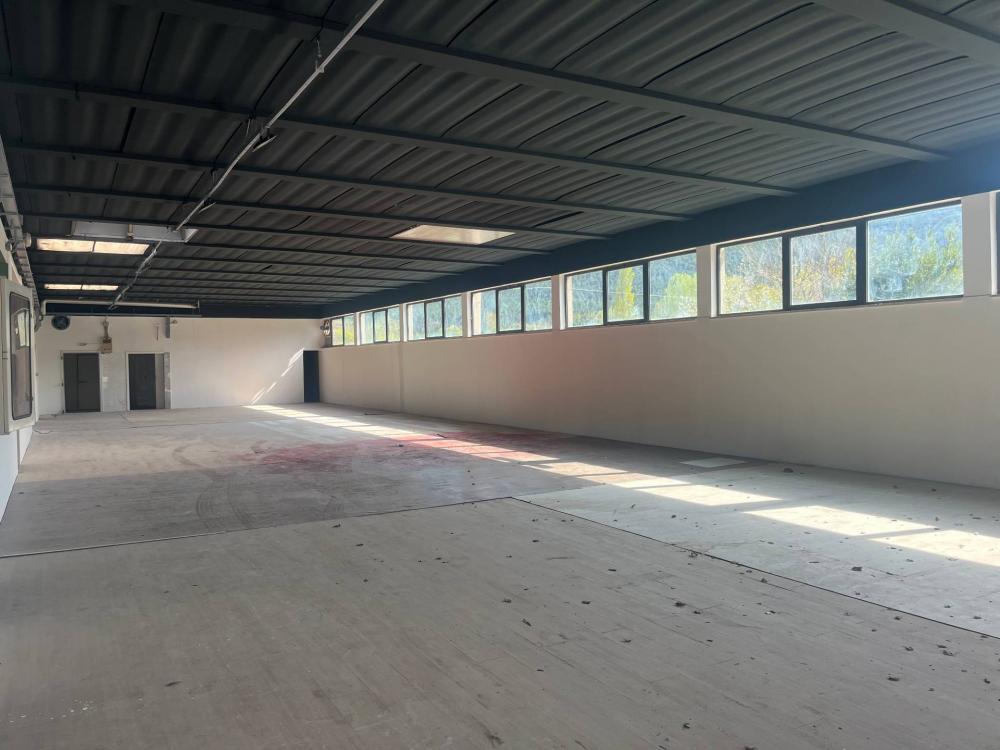 locale commerciale in affitto a Lucca in zona San Lorenzo a Vaccoli