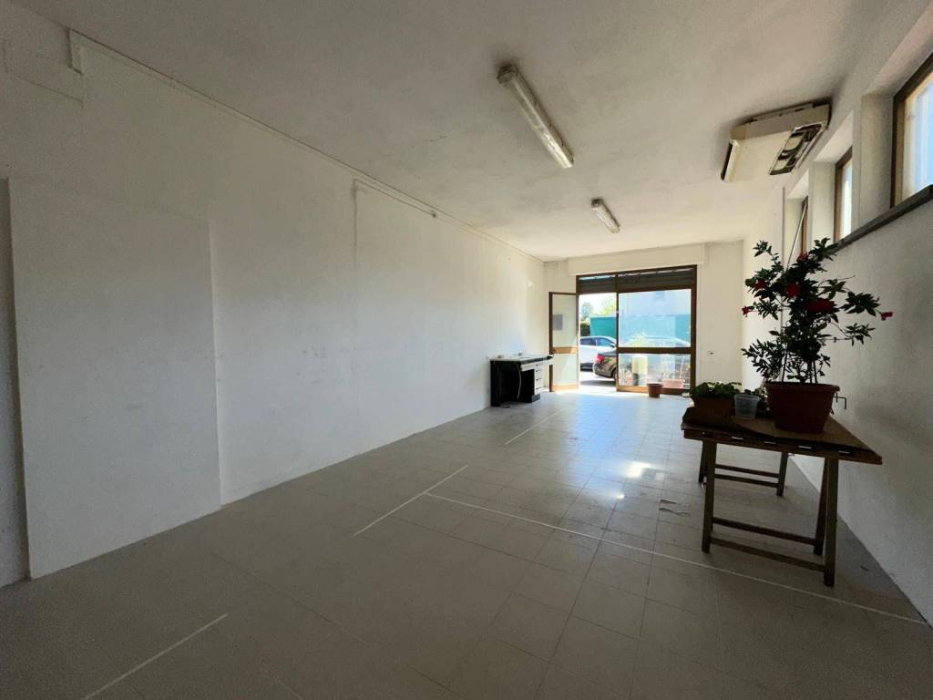 negozio in affitto a Lucca in zona zona San Marco