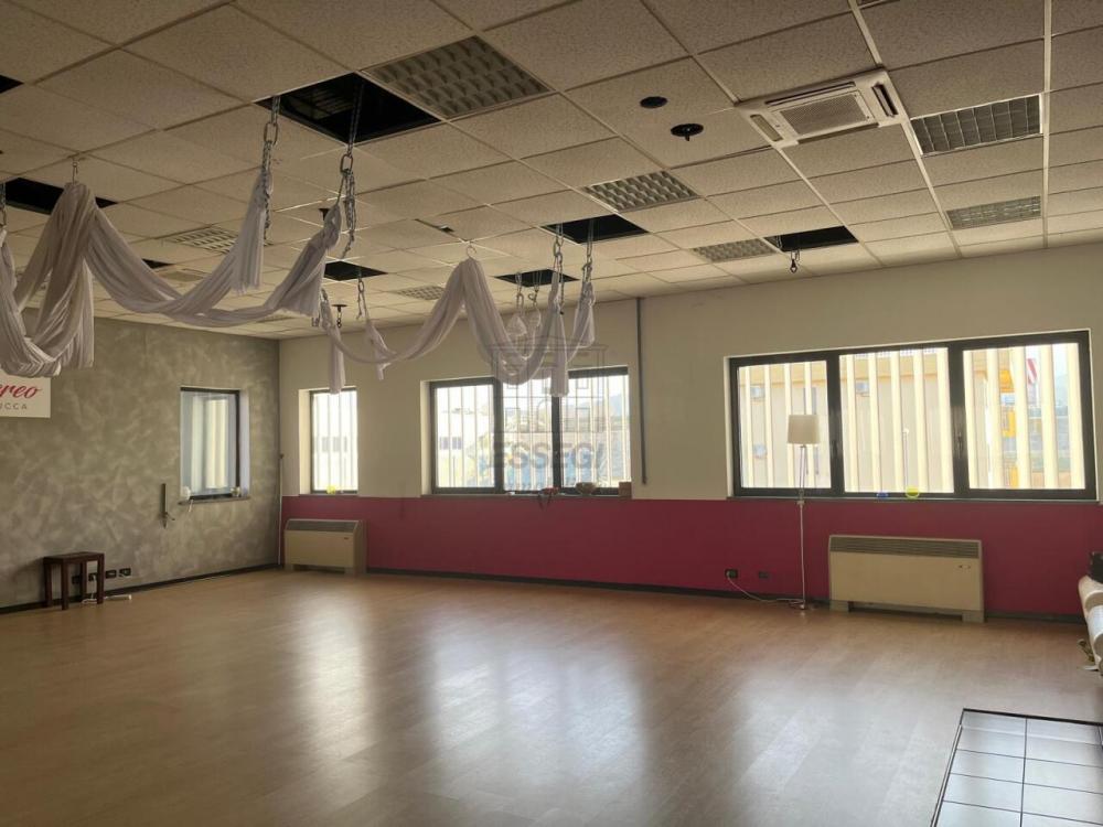 loft in affitto a Lucca in zona Centro Città