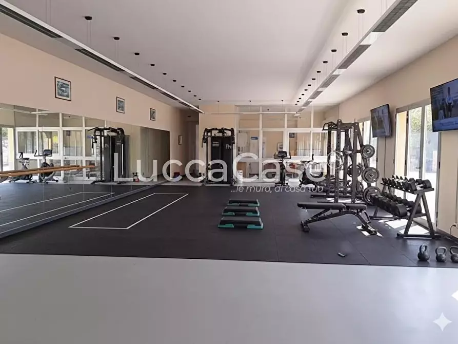 locale commerciale in affitto a Lucca in zona Zona San Concordio