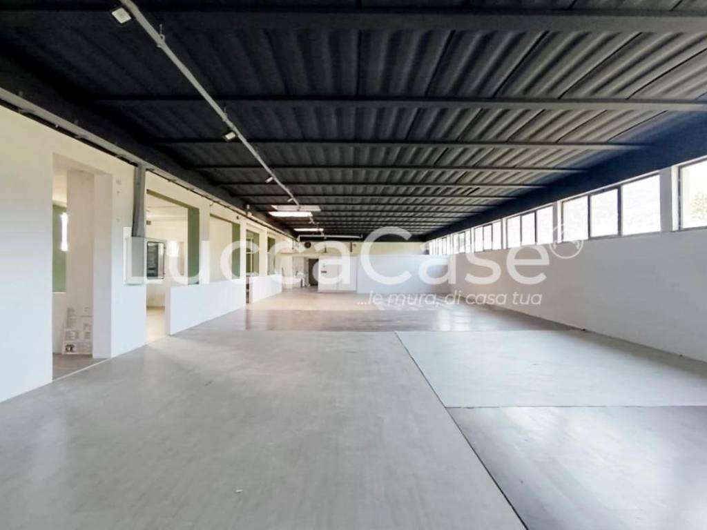 ufficio in affitto a Lucca in zona Santa Maria del Giudice