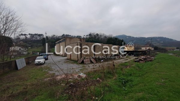 capannone in affitto a Lucca in zona Mutigliano