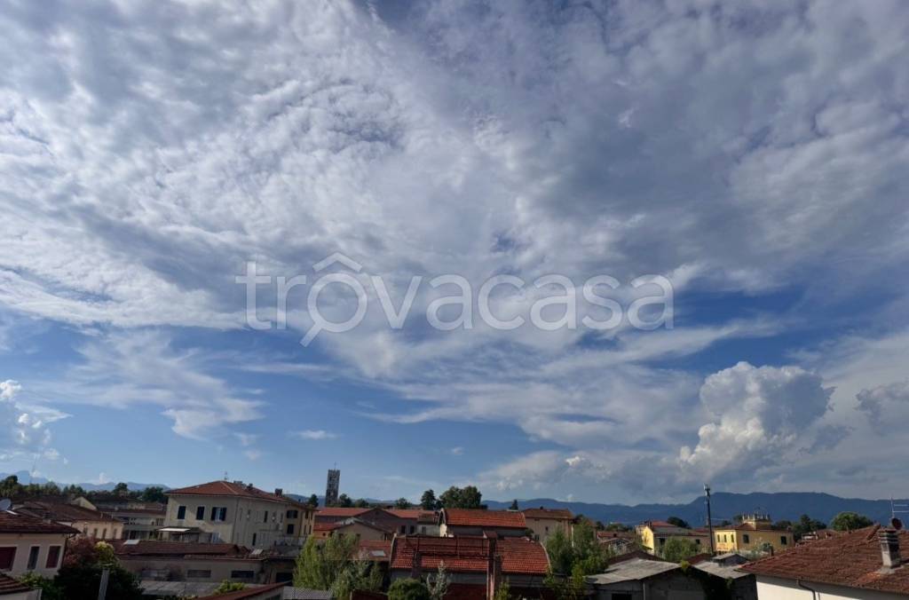 appartamento in affitto a Lucca in zona Zona San Concordio