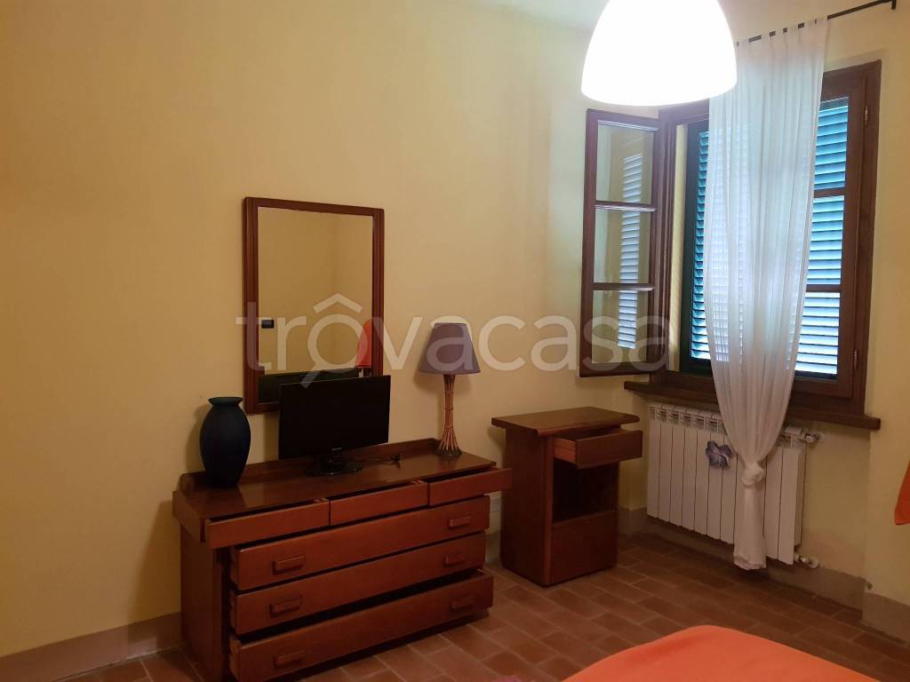 appartamento in affitto a Lucca in zona Picciorana