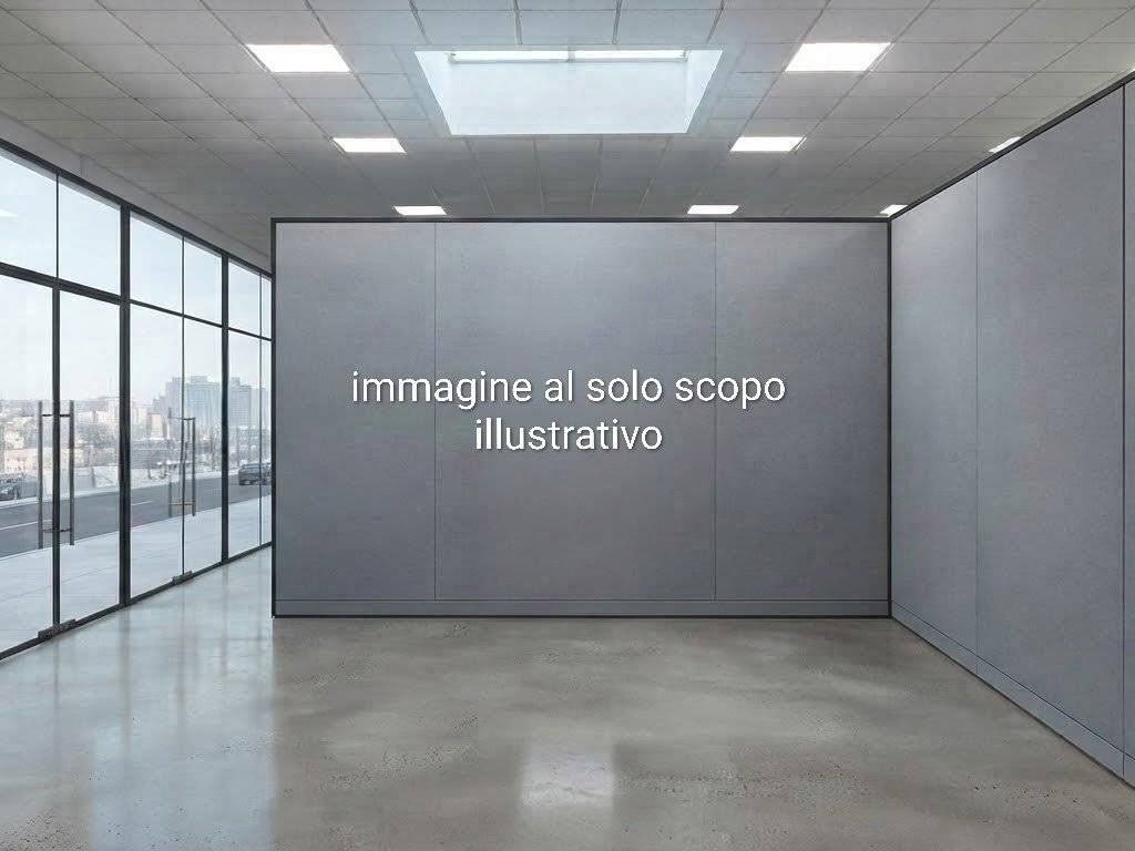 negozio in affitto a Lucca in zona Centro Città