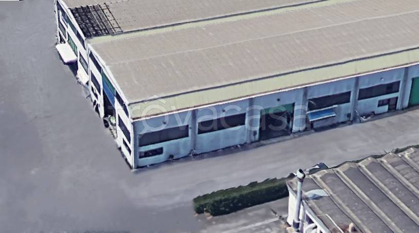 locale commerciale in affitto a Massarosa