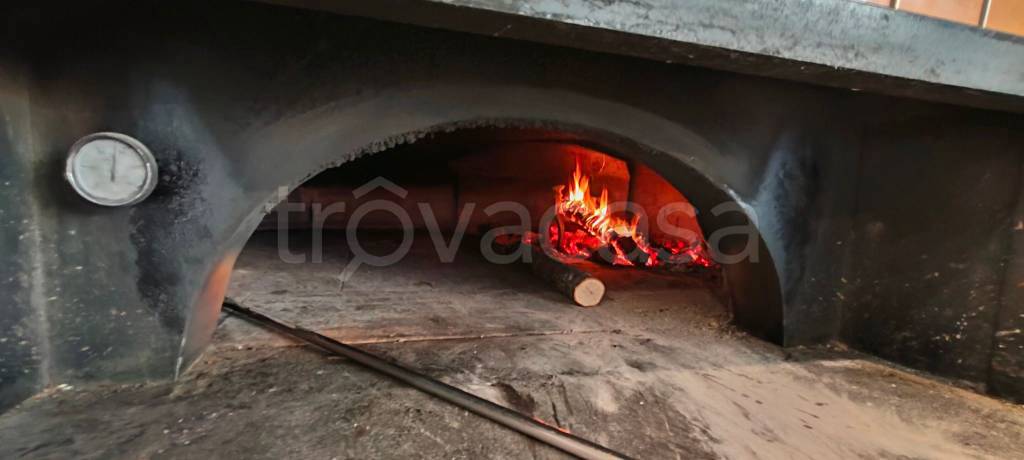 quadrivano in affitto a Massarosa in zona Piano di Conca